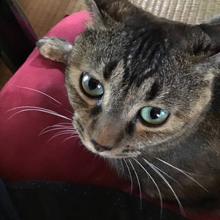 1f02ea4f cec8 45f0 9cee 185abca89637 1662630520862