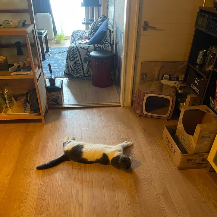 1f0301a7 5554 416d b216 ddda13c317e4 1747537901489