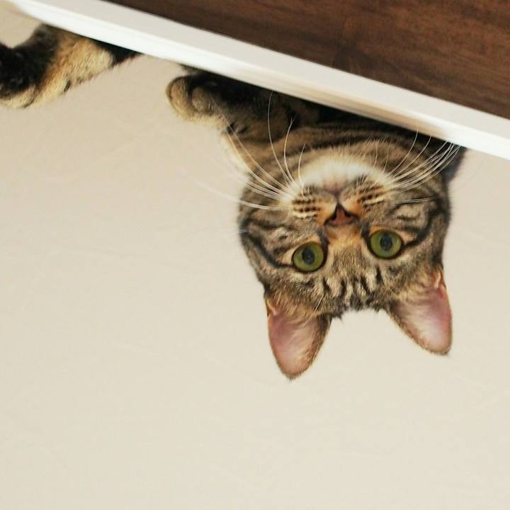 1f03280a 21db 4723 8e09 85431cb67368 1538578298538