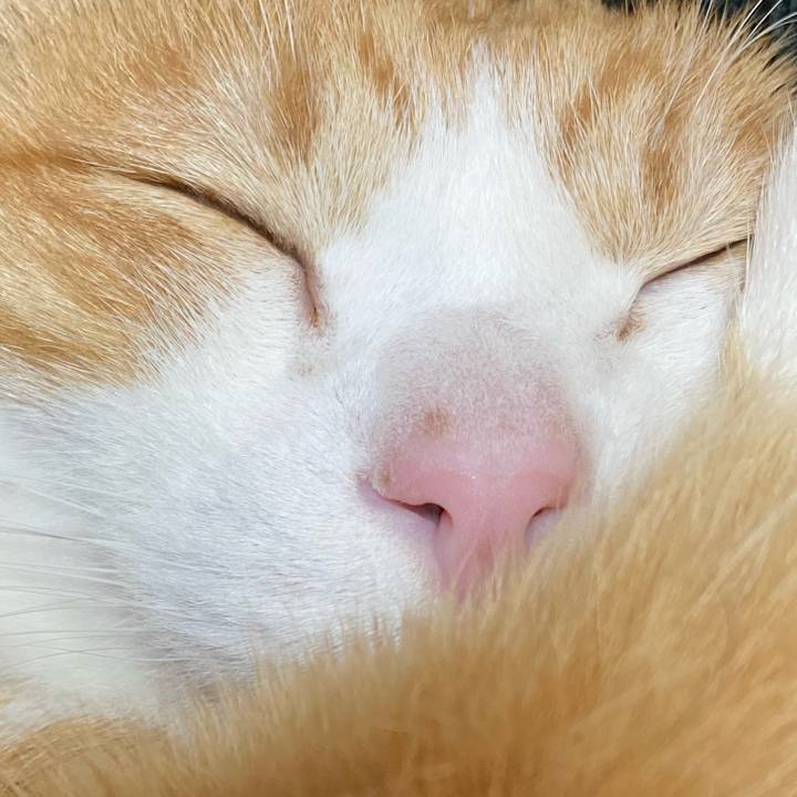 1f033d09 9249 4585 af65 ebfbefa23be9 1772890305707