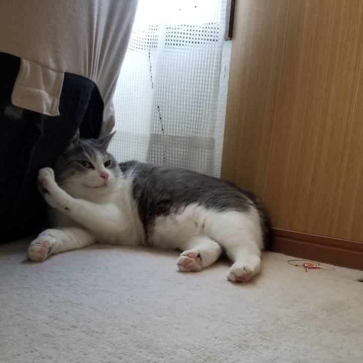 1f034285 4348 4f28 bc74 21f932746049 1617875454922