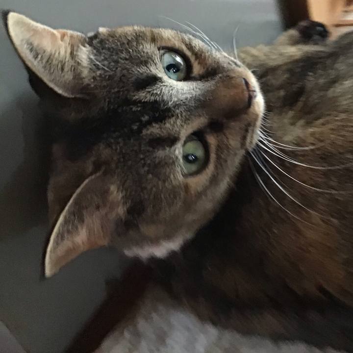 1f0342fc 993a 4405 9ad2 7677c5630e39 1664862459351