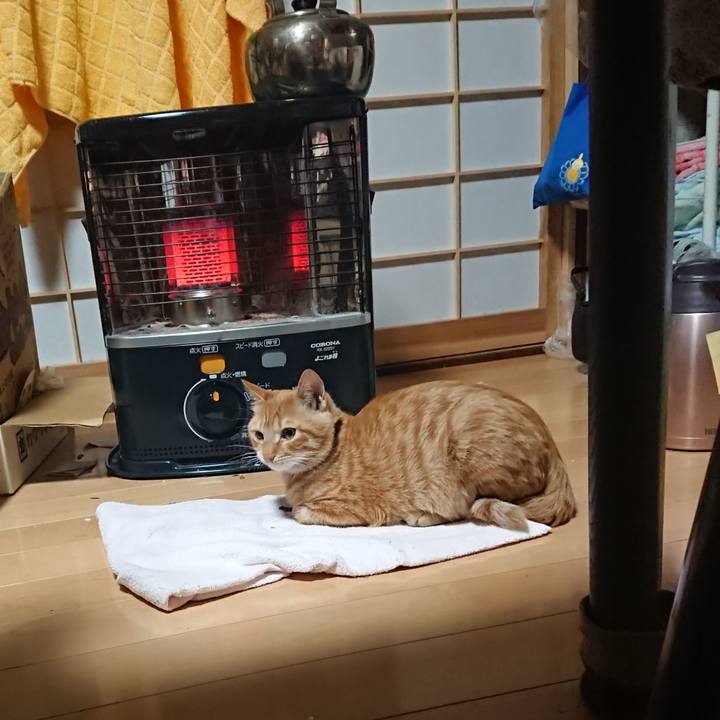 1f03c90d 405a 4327 a303 c4e754e62e59 1636230815387