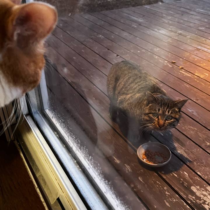 1f03dd56 6478 4ddb a7c6 5165c1de1cfe 1733090715199