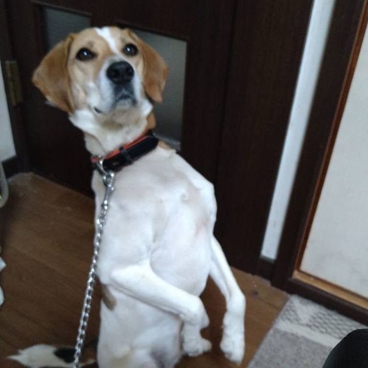 1f03f55d c6ec 4864 9a02 4393c0f8e027 1619352685049