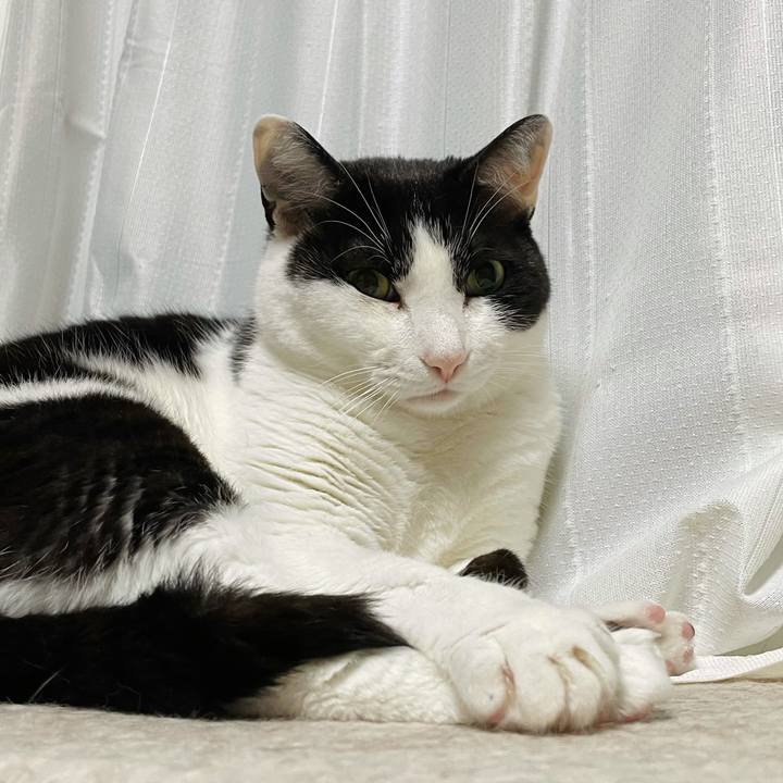 1f03fca3 fc43 463e 808f 6c0dfba3ca08 1623813095309