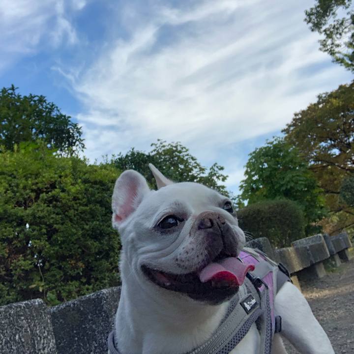 1f040173 95fa 427b bd3e 8db830440009 1667111535198