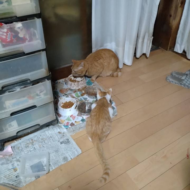 1f04149e 7fc8 43ba 9ba2 6cb77b6e5222 1729204849905