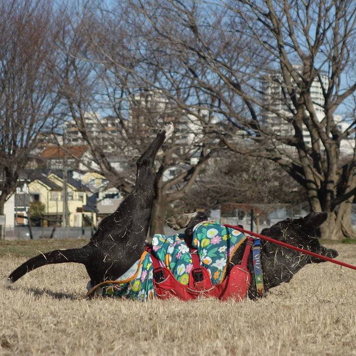 1f042ad8 3354 4ad5 a7bc 429c2428fdb5 1677462933690