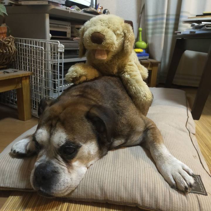 1f042f28 a976 40c5 92ff 6e07469cd688 1657946376610