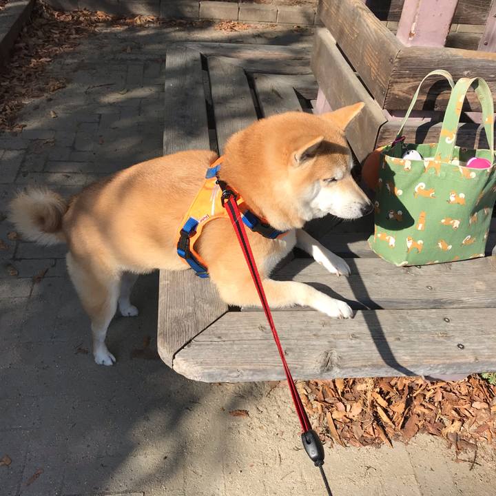 1f043b51 25b9 4976 82d7 6e0b18647e1e 1547618816674