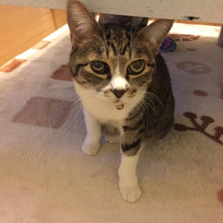 1f04a41c 6eac 4954 8e34 3f56e5fb1483 1553957472432