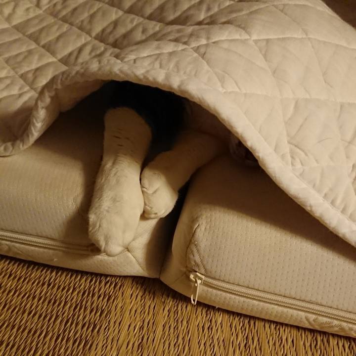 1f04b653 709d 486e 9d48 0507f69924f5 1530104668263