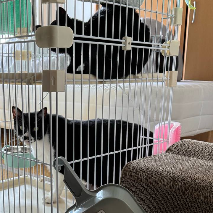 1f04c725 3f67 4dad bab4 2bf74b7d0d57 1753394269180