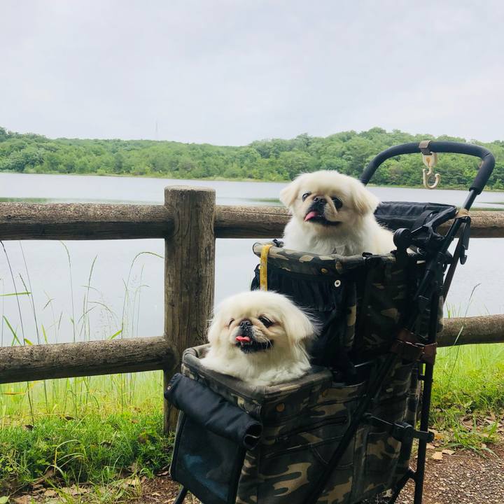 1f04eabf 65d8 489b be9f 78996facb345 1622003977415