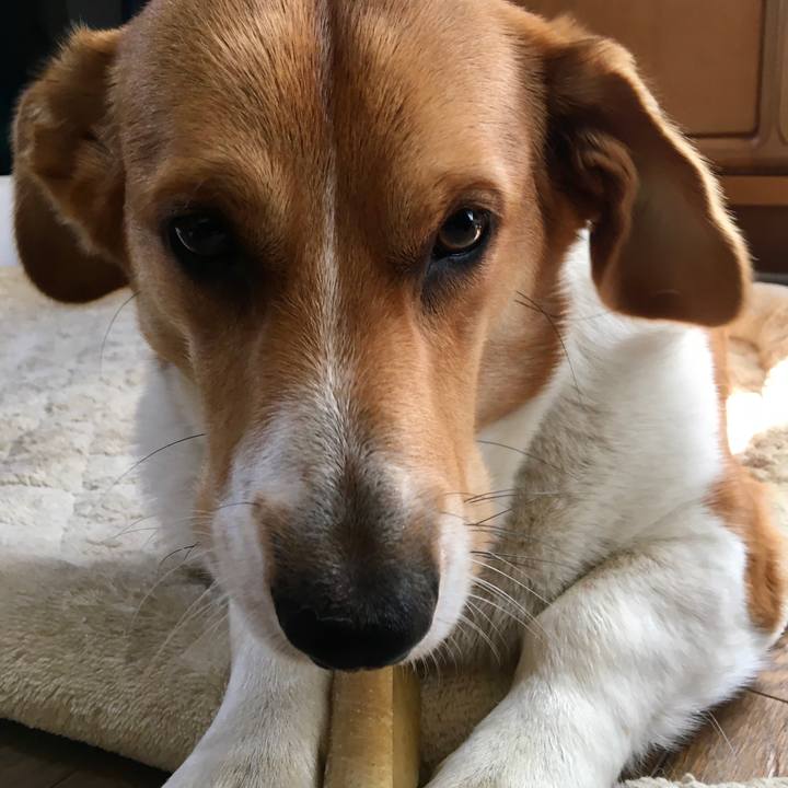 1f04fee7 021e 421f b202 8a100815ed22 1619859237994