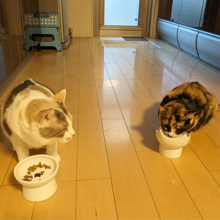 1f05082a 6f79 4726 ad65 2fc111589383 1694491963211