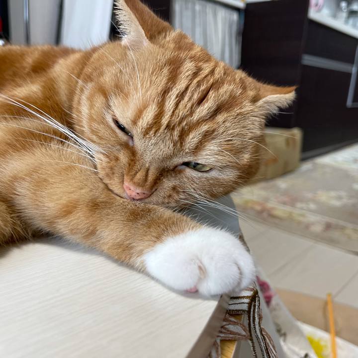 1f051b1e 2141 44a8 b140 3cc3b891d398 1631418554341