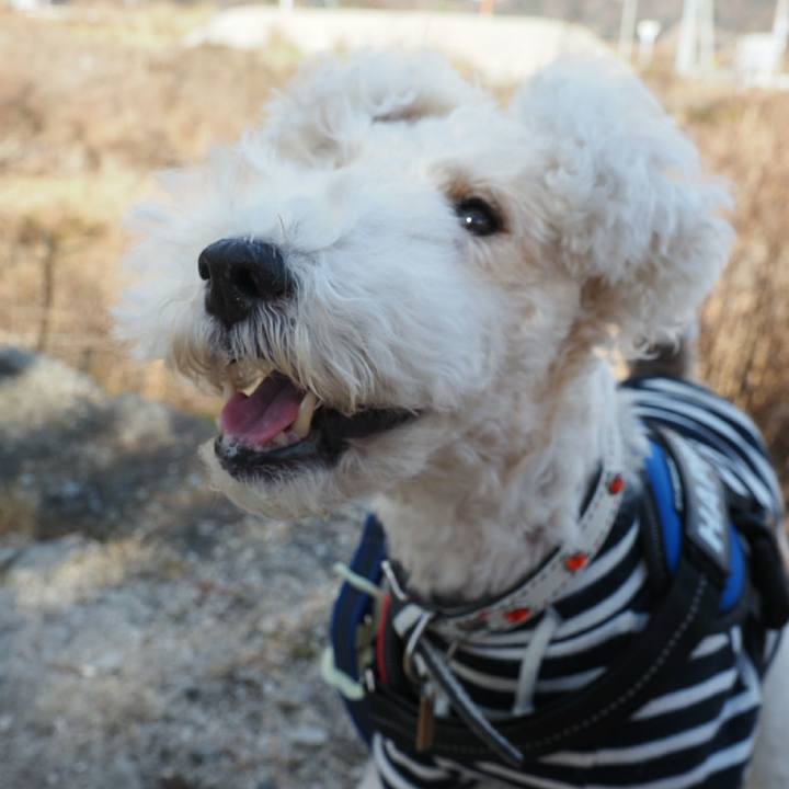 1f052399 c4b1 4980 b8e7 4053b88c4bd4 1513815772975