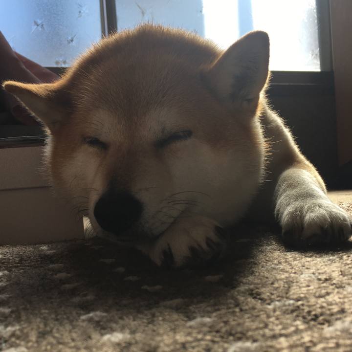 1f052903 3c6e 463c be3f 9d506d93015e 1580527720841