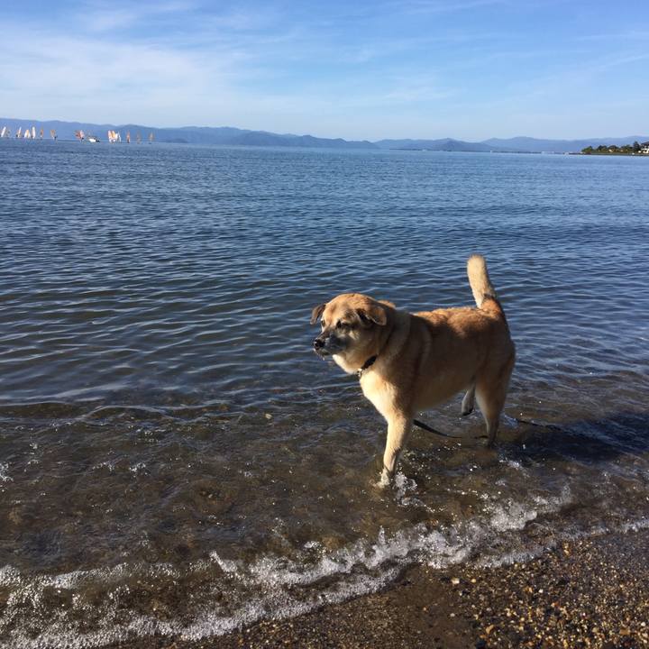 1f053e61 e633 46d1 8987 c6c311447cb0 1572680372292