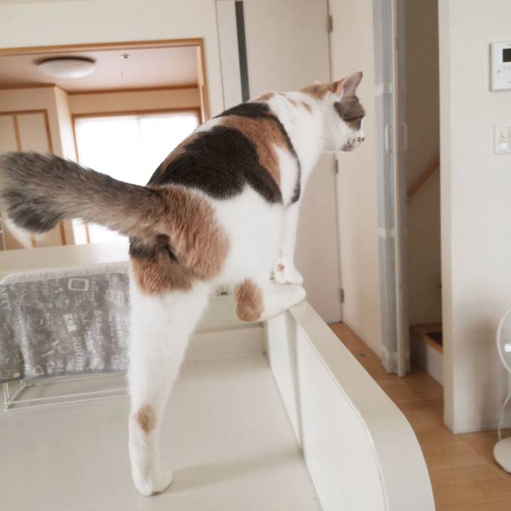 1f055131 628b 4d33 9a5b 3915091589f7 1602596563789