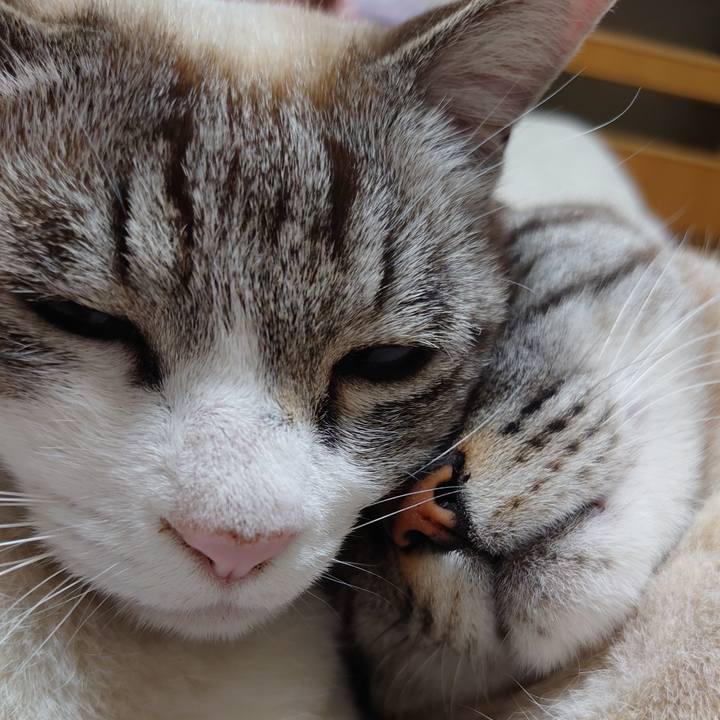 1f05659e b257 4e0c a9d6 649f2e655dd9 1619006532726