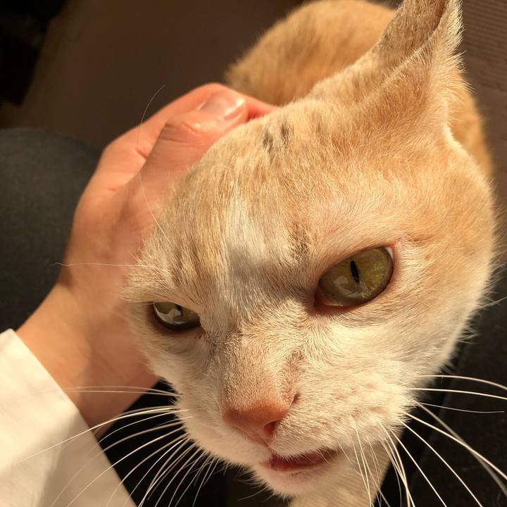 1f057535 7c35 4dc9 9eeb 2c6d81633915 1616456468439