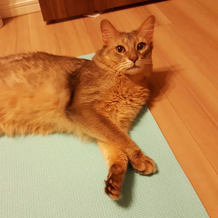 1f05788e c8c7 42f9 86e7 04bbd80ffc77 1569677934313