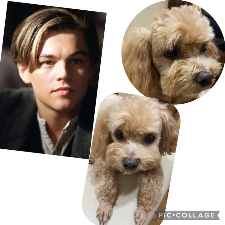 1f057d2f ed97 44ca bb93 feeb4dd0477e 1708464981569