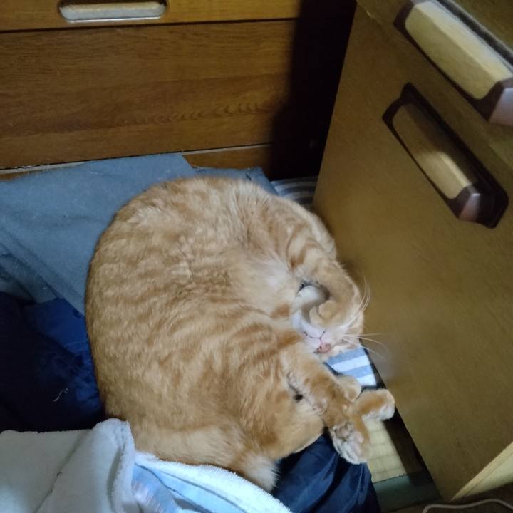 1f05895e 8e72 4a0f ab59 9490380943fe 1695642525501