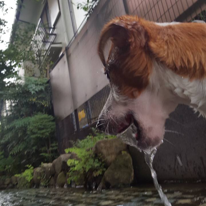 1f05cd26 9ecc 4404 b635 4db5f905d8d9 1563935926727