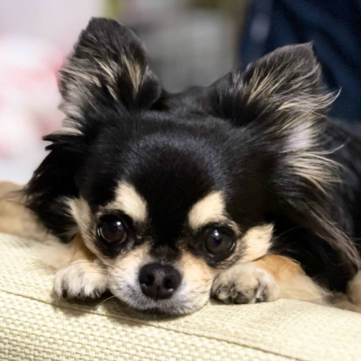 1f05d1b5 921c 42ad a7e5 2c221d1943a0 1682926616753