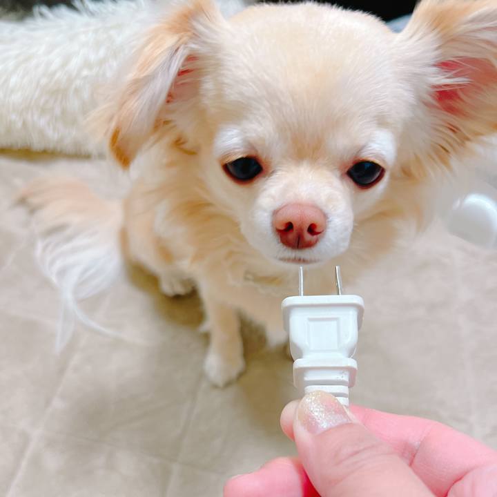 1f05d2fa 6137 4bfa 9908 eb25770a0b5d 1648024920125