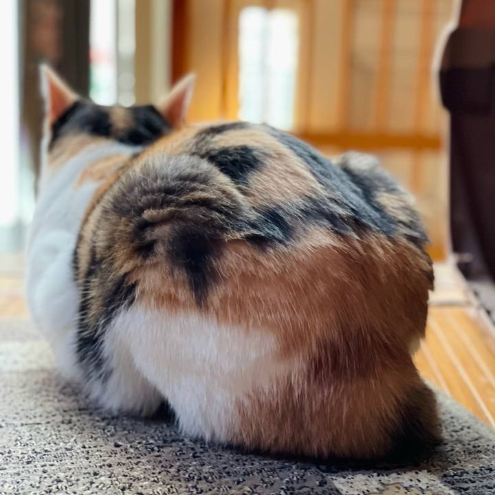 1f05e4dd a03d 4d4c 88de d44c121aa4ba 1663581543958