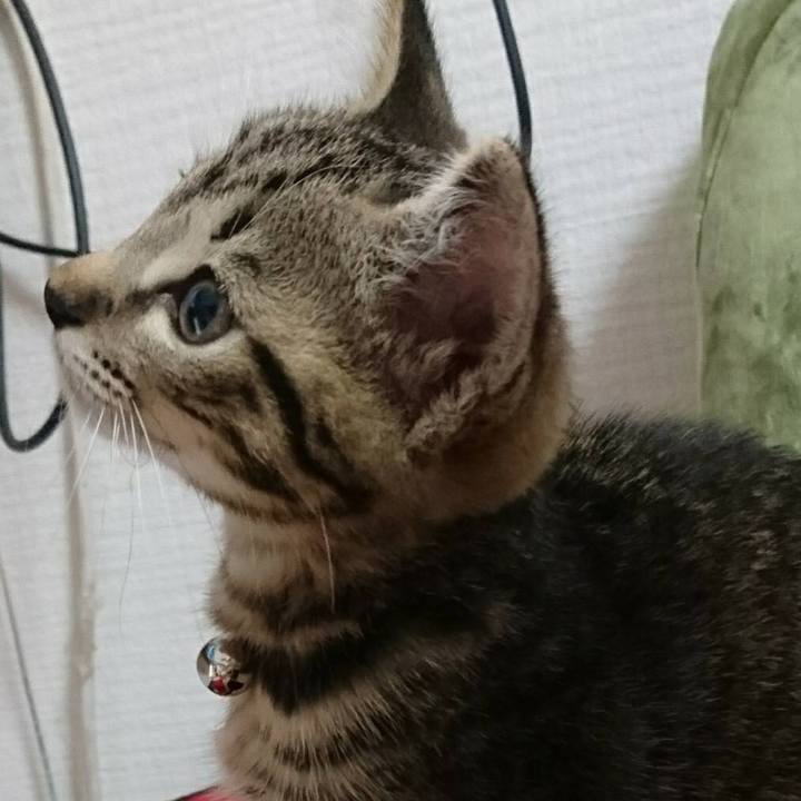 1f060ce6 3954 4f87 97cc 794f37750f0a 1534325140437