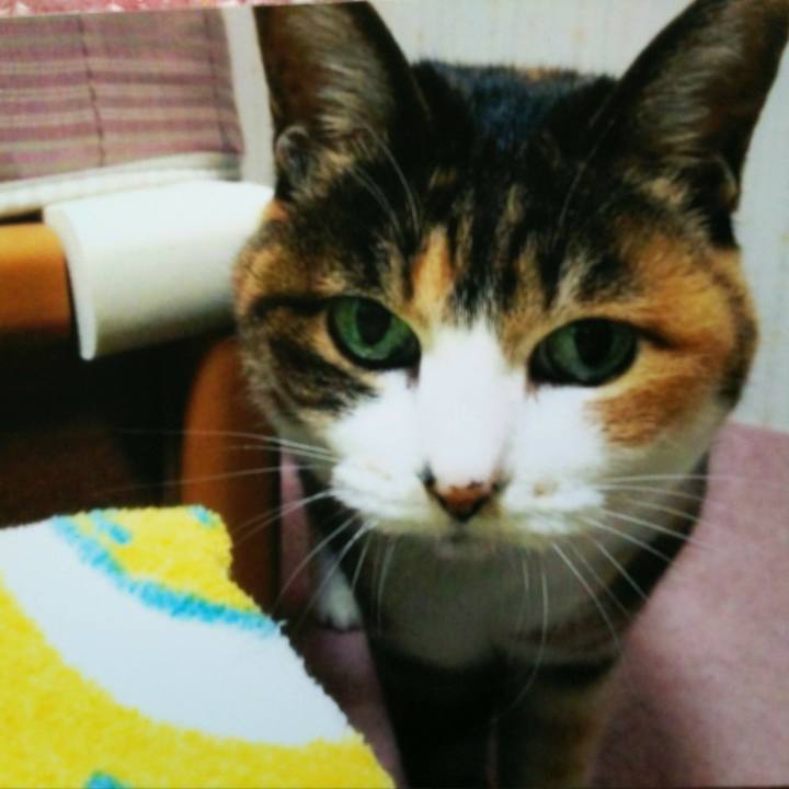 1f060ec3 ccf7 46c6 b385 dbc1d6380708 1514689897452