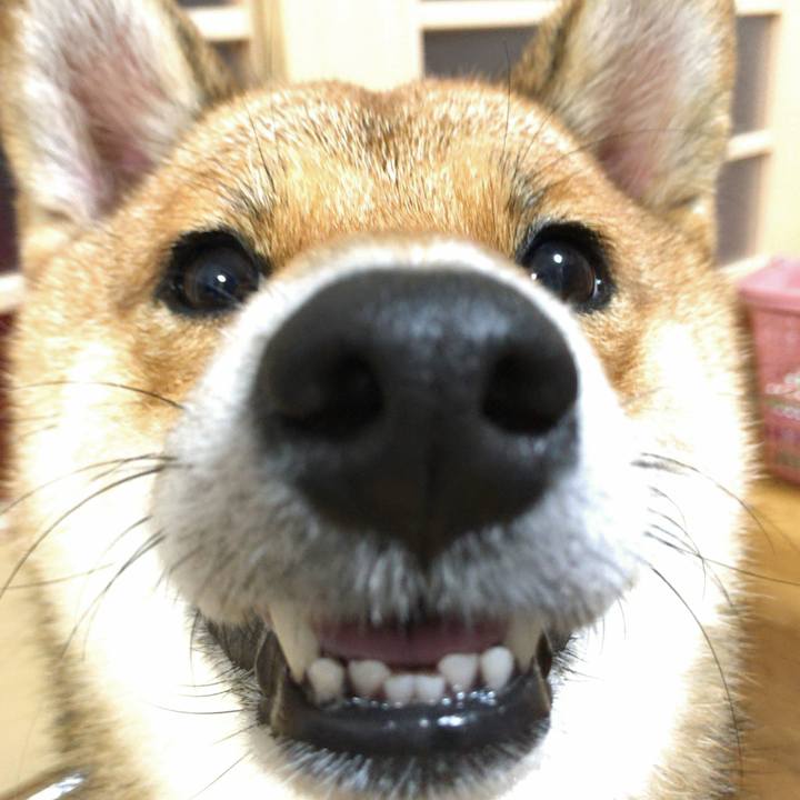 1f06228e be8e 41c8 b9a8 8ea1b116be85 1535061067788