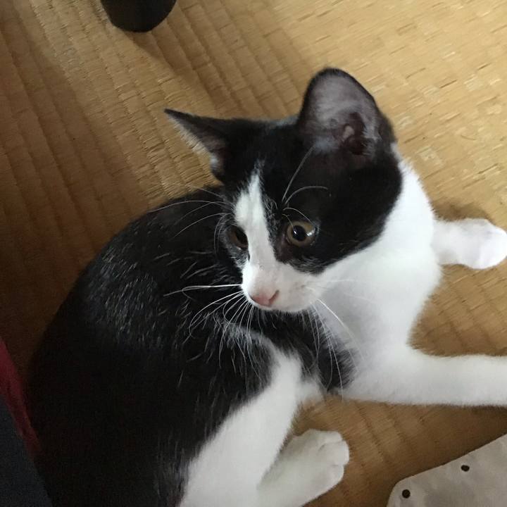 1f06622c 050e 4880 81fd f4f6037eca79 1626754458141