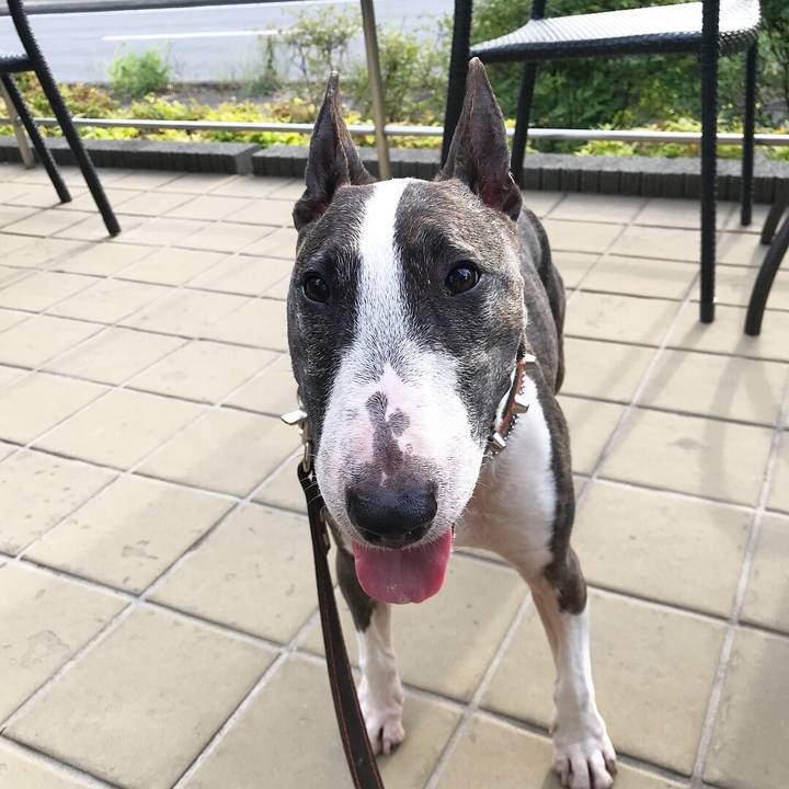 1f066b5a 789d 41ef be54 f8b4af16343b 1526124941428