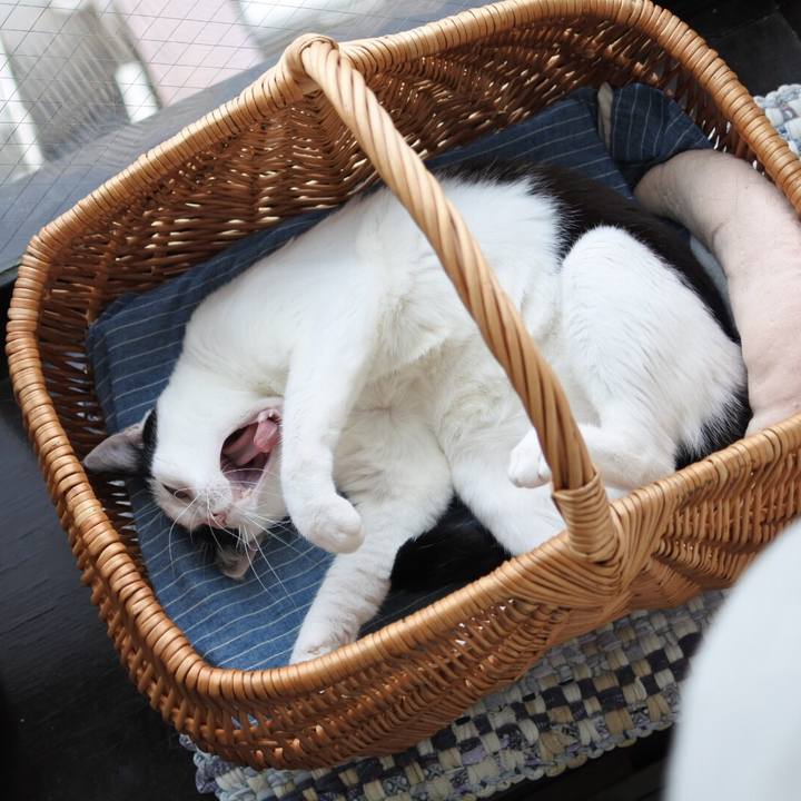 1f068918 88a0 42cb 932f ebf467a94c5a 1563714100303