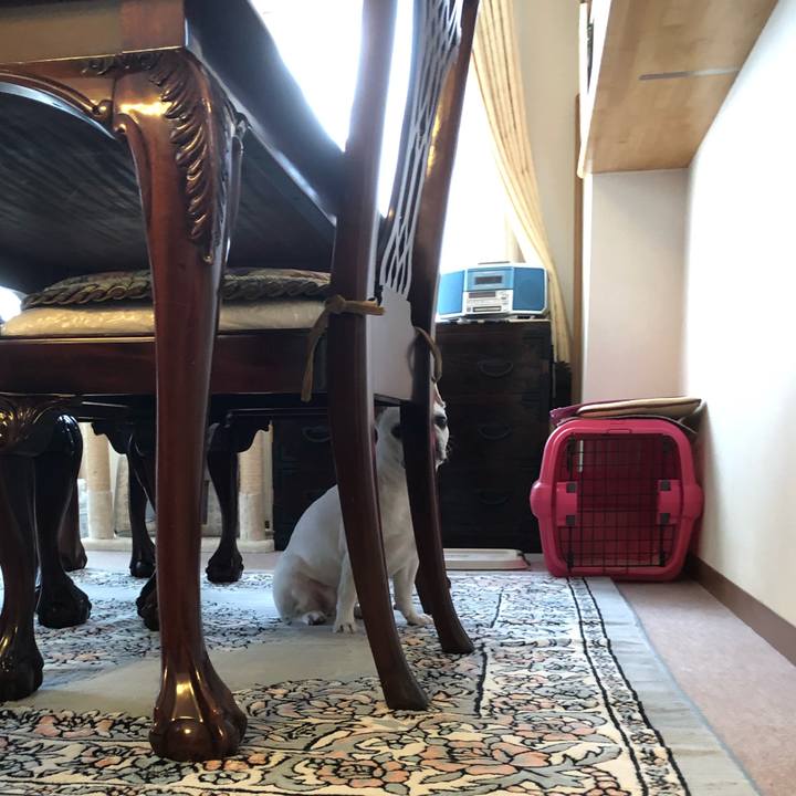 1f069fe1 b678 4974 bf9a 04abe5fafa55 1624785543570