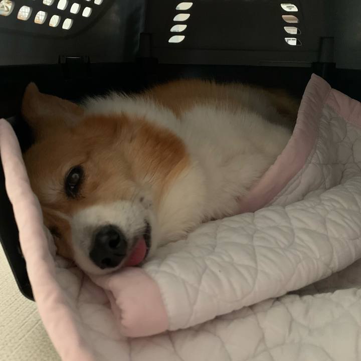 1f071564 8564 4e36 b85f e86522664d2e 1719375431565