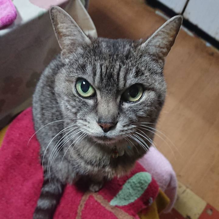 1f071870 5662 48b4 b0cc b154a12f45ef 1554327560704