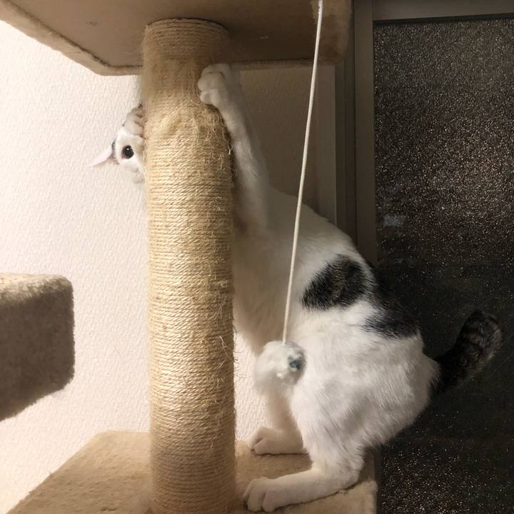 1f072037 2092 4374 8255 5364a7d61ab0 1542417248797