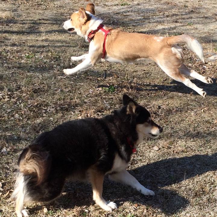 1f0721c0 28cf 489a b92c d97dd15135eb 1512787226511