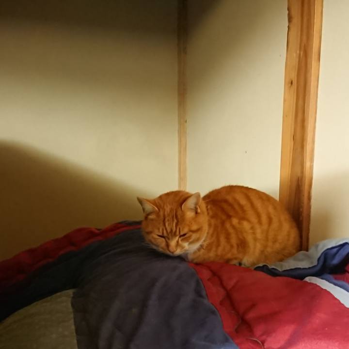 1f07266f 3b1f 4e1b bcaa b156d48352ea 1607463786136