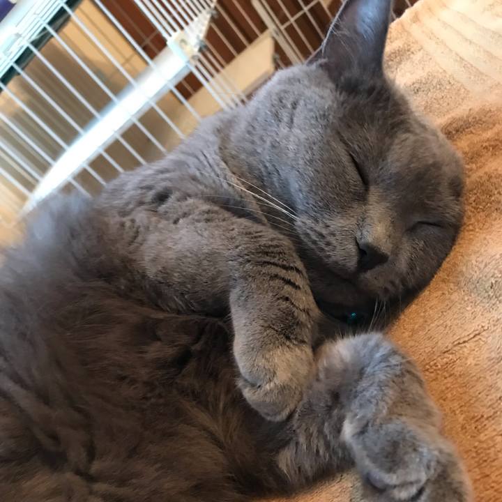 1f074d86 4b3c 4248 a966 7e128b3bc058 1563091948515