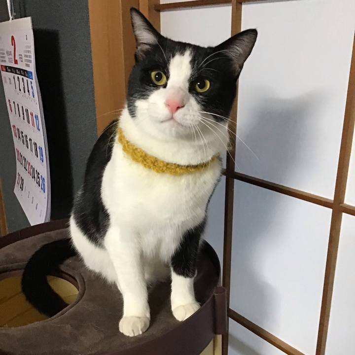 1f0755aa 0bdd 41f2 8cc9 9766c244b2b6 1645827603672