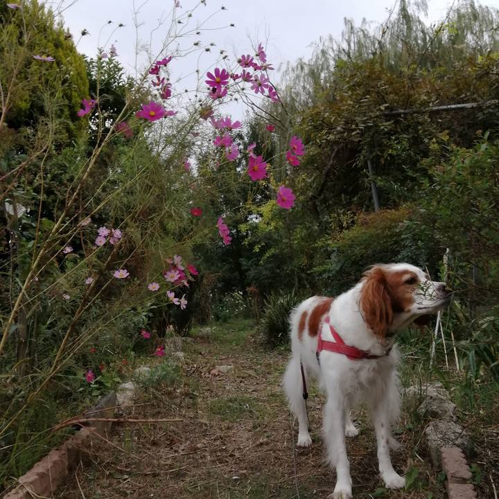 1f07576d 8e57 4d35 9ba0 62becd49175a 1634562044234